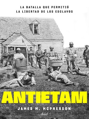 cover image of Antietam, la batalla que permitió la libertad de los esclavos